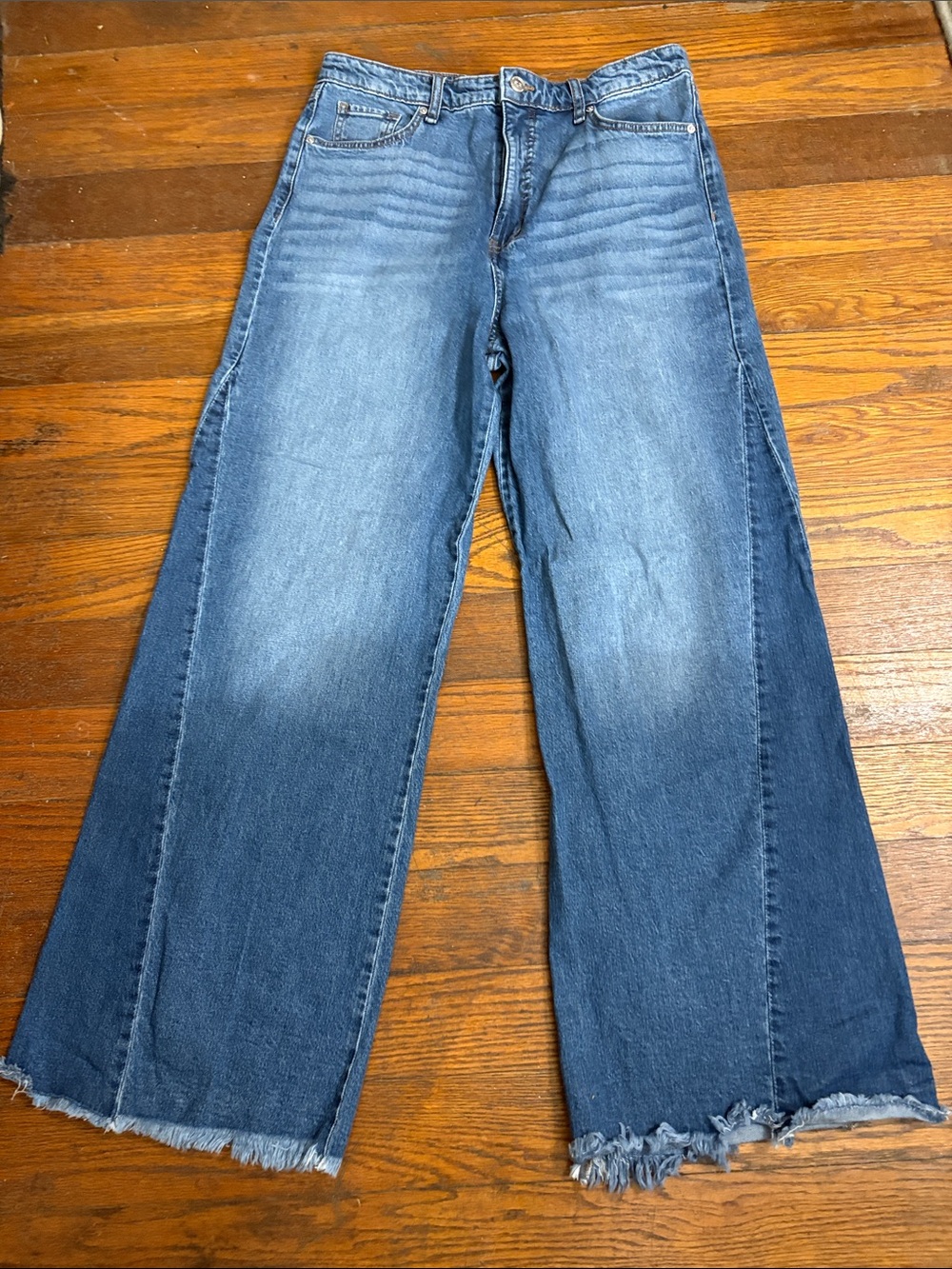 Robert Rodriguez Godet Paneled Wide Leg Denim Jeans Fray Hem Size 31 (12)